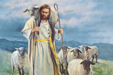 CHOOSING A SHEPHERD