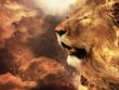 the-lion-of-judah