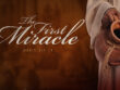 thefirstmiracle