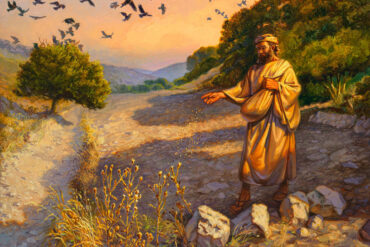 THE PARABLE OF THE SOWER (4)